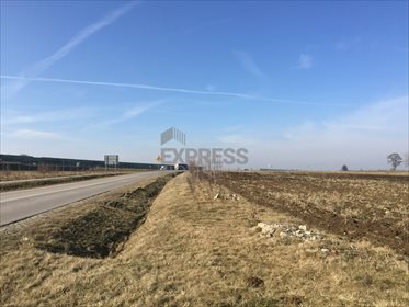 Działka budowlana na sprzedaż Bogucin 26 200m2 Foto 6