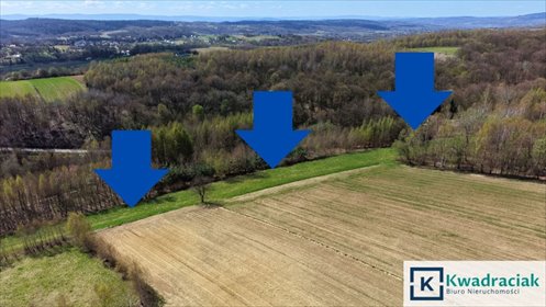 Działka 59,66 ara z warunkami na 3 domy w Lublicy działka Lublica
