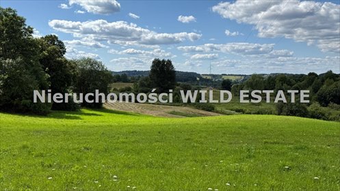 Zapraszam do obejrzenia działki rolnej 2900 m² z dostępem asfaltowym działka Lesko, Jankowce