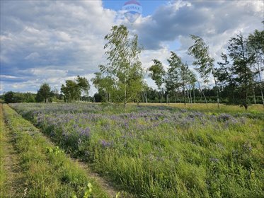 działka na sprzedaż 1528m2 działka Józefów