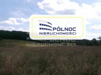Działka rolna pod dzierżawę Płóczki Górne 800 000m2 Foto 1