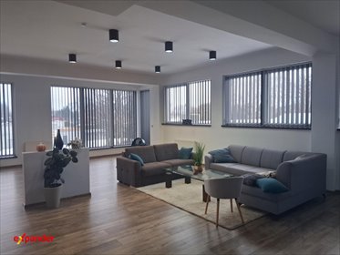 Nowoczesne biuro 150 m² z pełnym wyposażeniem i dużymi oknami lokal użytkowy Kolbuszowa, Rzeszowska