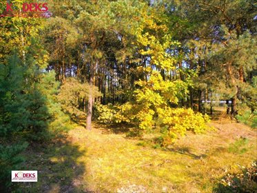 działka na sprzedaż 1538m2 działka Legionowo