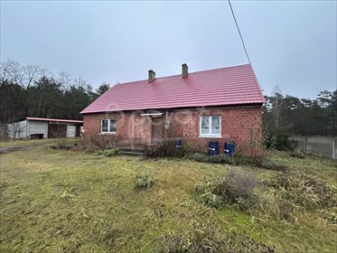 Dom 103 m² w Kotowskim (blisko lasu) z garażem i dużą działką dom Kotowskie