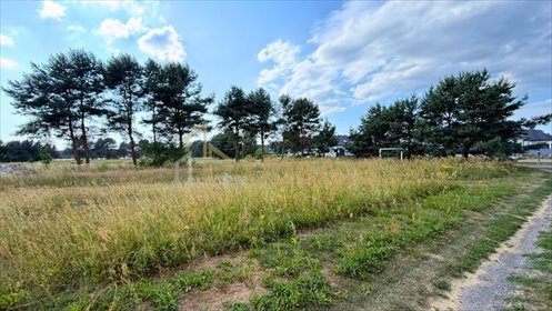 Działka 2684 m² w Modrzewiu - polecam działka Modrzewie