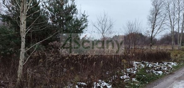 Działka 3600 m² z dostępem do prądu i lasem - Nowy Prażmów działka Nowy Prażmów