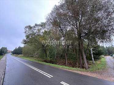 działka na sprzedaż 9000m2 działka Libidza, Stawowa