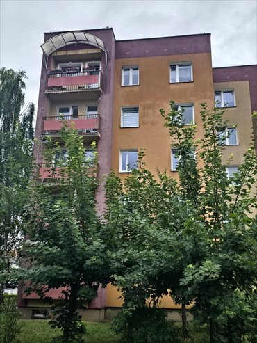 Przestronne 3-pokojowe mieszkanie 65 m² w Szprotawie. mieszkanie Szprotawa, Konopnickiej