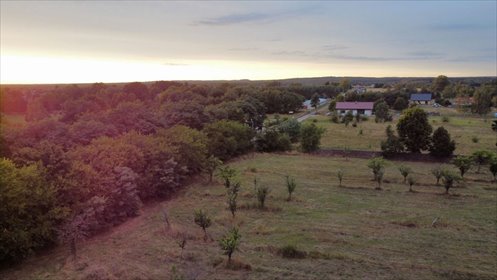 działka na sprzedaż 7500m2 działka Uraz, Dębowa