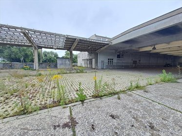działka na wynajem 400m2 działka Gdynia, Śródmieście, Wiśniewskiego Janka