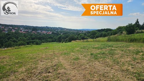 działka na sprzedaż 7940m2 działka Tomaszkowice