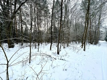 działka na sprzedaż 1437m2 działka Rydzynki, Żabia
