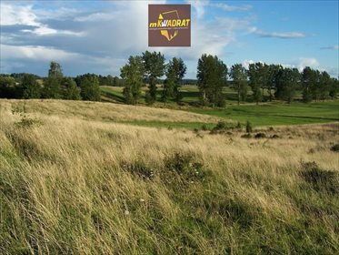 Działka inna na sprzedaż Rogale 24 500m2 Foto 2