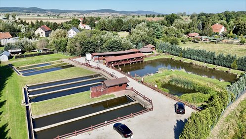 działka na sprzedaż 6571m2 działka Jawor