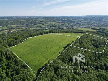 działka na sprzedaż 126100m2 działka Błażowa Dolna