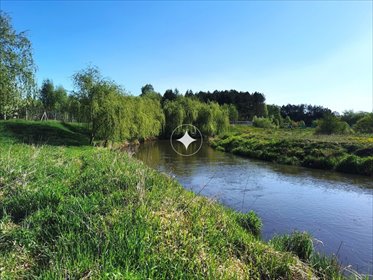 działka na sprzedaż 14200m2 działka Wola Przedborska