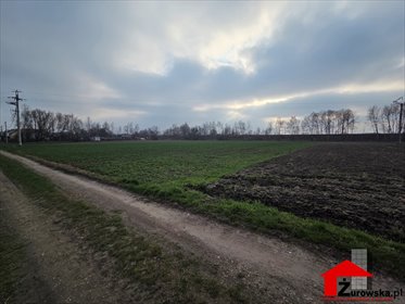 działka na sprzedaż 3000m2 działka Przyszowice