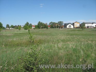 działka na sprzedaż 7351m2 działka Marki, Marki, Bandurskiego