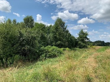 działka na sprzedaż 12400m2 działka Zaczarnie