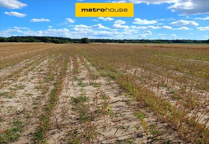 Polecam działkę rolną 13 300 m² w Dąbkowicach Dolnych działka Dąbkowice Dolne