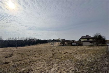 Działka budowlana na sprzedaż Grębynice, ul. Orlich Gniazd 1 650m2 Foto 2