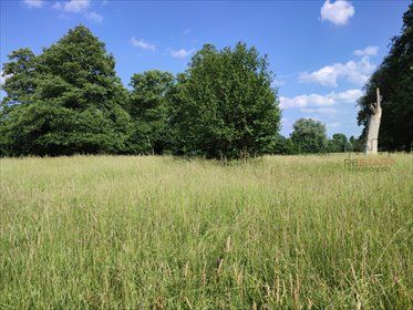 Duża działka 4900 m² pod dom jednorodzinny w Holendrach Baranowskich działka Holendry Baranowskie
