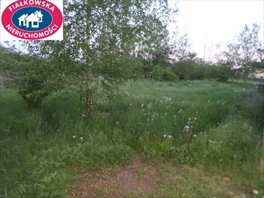 działka na sprzedaż 1535m2 działka Lubiejew