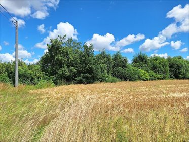 Działka 3216 m² pod dom w Malechówku, uzbrojona działka Malechówko, Malechówko