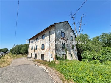 lokal użytkowy na sprzedaż 726m2 lokal użytkowy Kurów
