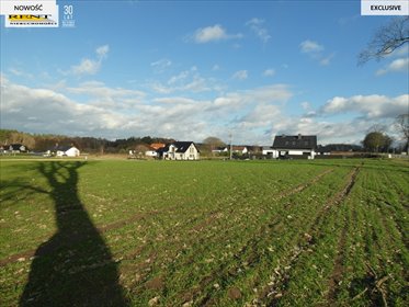 Działka 906 m² pod dom lub inwestycję w Budnie. działka Budno