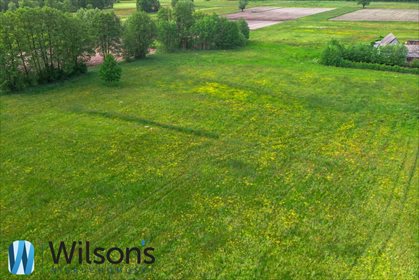 Działka budowlana na sprzedaż Morzyczyn-Włóki 3 000m2 Foto 6