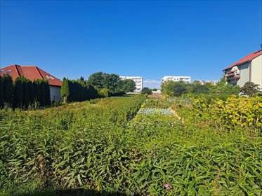 działka na sprzedaż 2873m2 działka Świdnik, Działkowca