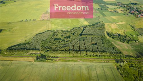 Działka leśna na sprzedaż Parys 205 000m2 Foto 7