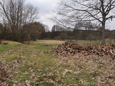 działka na sprzedaż 1986m2 działka Łowicz Wałecki