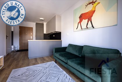 mieszkanie na wynajem 32m2 mieszkanie Katowice, Muchowiec, Meteorologów