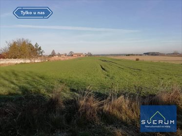 Działka budowlana na sprzedaż Wrzosy 11 414m2 Foto 4