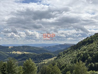Działka 10 073 m² w Przygórzu - zapraszam działka Przygórze