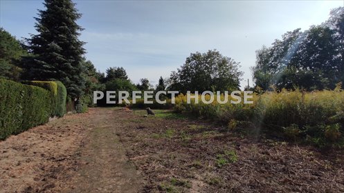 działka na sprzedaż 2392m2 działka Puszczykowo, Puszczykówko