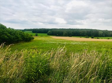 Działka budowlana na sprzedaż Siodłkowice 2 640m2 Foto 2
