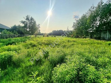 działka na sprzedaż 1000m2 działka Żółwin