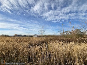 działka na sprzedaż 804m2 działka Kraków, Prądnik Biały, Tonie