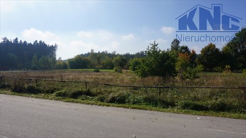 Działka budowlana na sprzedaż Żebry-Chudek 1 200m2 Foto 3