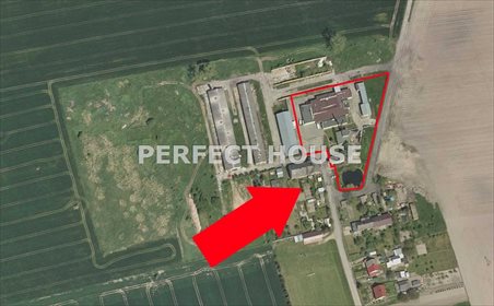 Magazyn na sprzedaż Karolewo 1 704m2 Foto 2