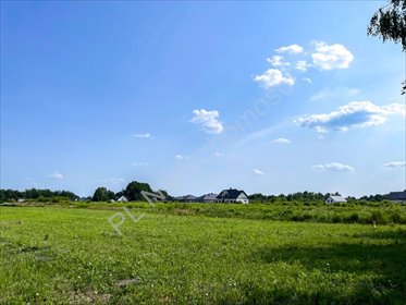 Zapraszam do zakupu działki 2381 m² w Ruscu z możliwością budowy domu działka Rusiec