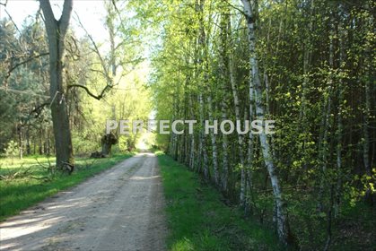 Działka rolna na sprzedaż Zajączkowo 70 600m2 Foto 5