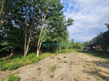 działka na sprzedaż 1000m2 działka Musuły