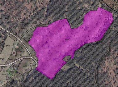 działka na sprzedaż 147613m2 działka Wrzosówka