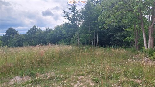 działka na sprzedaż 5946m2 działka Gałęzinowo