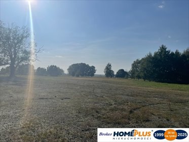 działka na sprzedaż 22000m2 działka Rasztów