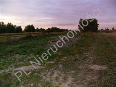 działka na sprzedaż 5500m2 działka Michałowice-Wieś